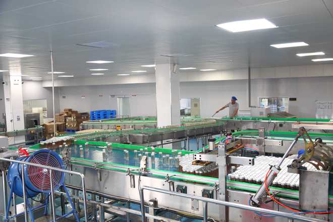 每逢佳节胖三斤？低糖即食燕窝代工厂携手仓储业，助你抢占健康消费新赛道